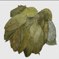 Soursop Leaves